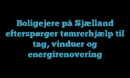Boligejere på Sjælland efterspørger tømrerhjælp til tag, vinduer og energirenovering