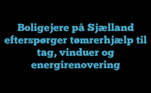 Boligejere på Sjælland efterspørger tømrerhjælp til tag vinduer og energirenovering1 Boligejere på Sjælland efterspørger tømrerhjælp til tag, vinduer og energirenovering