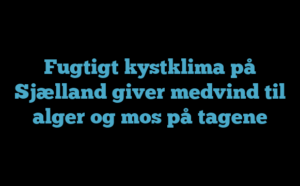 Fugtigt kystklima på Sjælland giver medvind til alger og mos på tagene Fugtigt kystklima på Sjælland giver medvind til alger og mos på tagene